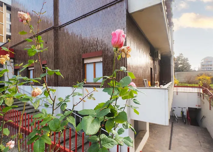 Primopiano - Ronchi *