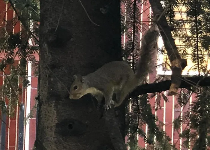 Bwr - Near Mico, Alberti Apartment *