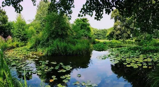 Fegi - Citta Studi, Besta, Politecnico, Istituto Dei Tumori * 밀라노