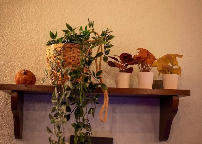 Loveloft Private Jacuzzi & Relax Duomo - Ac Wifi Apartamento