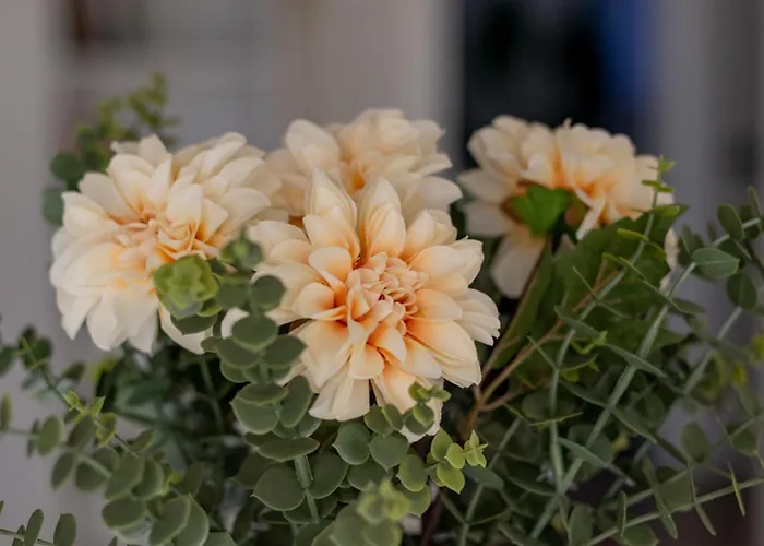 Parkview House - Carozzi Lejlighed *