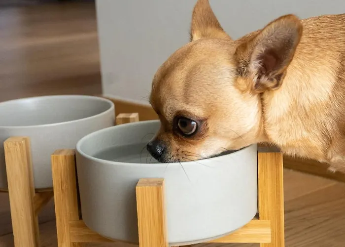 Apartmán Milanese Lodge/luxury House In The Heart Of *