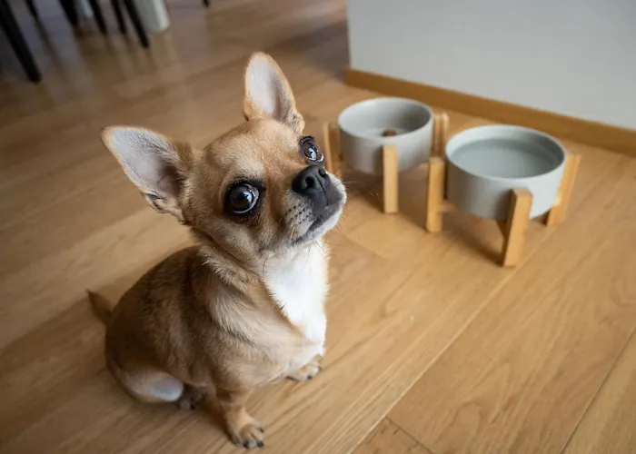 Milanese Lodge/luxury House In The Heart Of