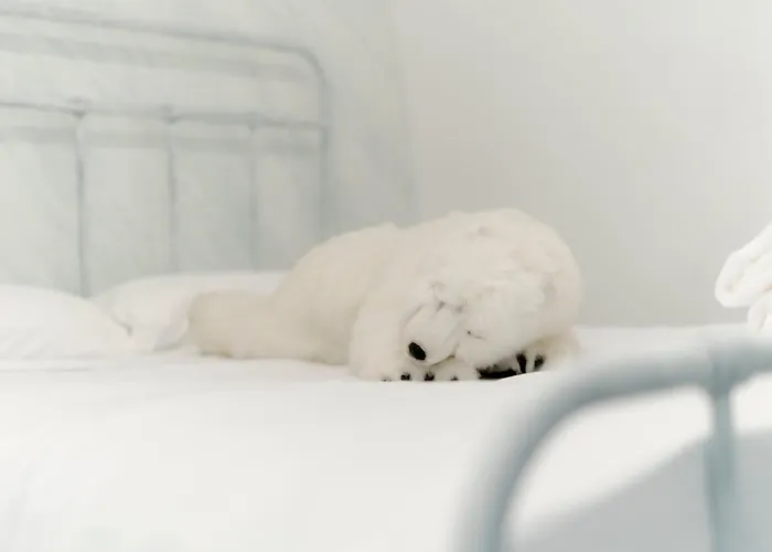 The Igloo فيلة *