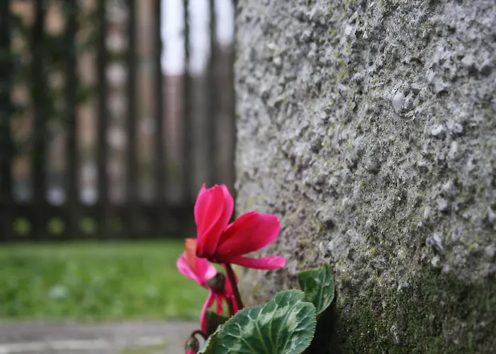 Апартаменты White Flat Puglie *