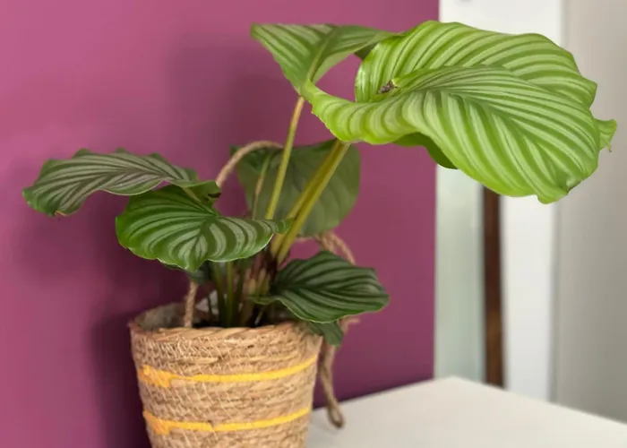 Lovelyloft, Fondazione Prada Milán