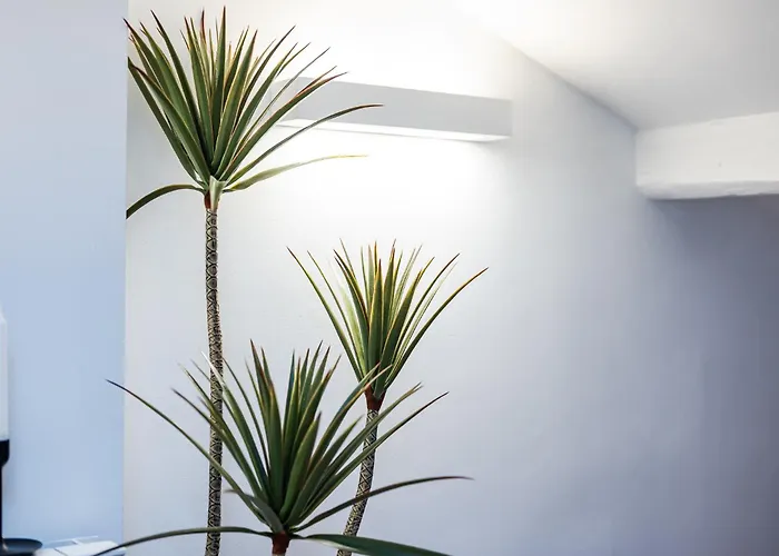 Sovoy Porta Romana Mailand