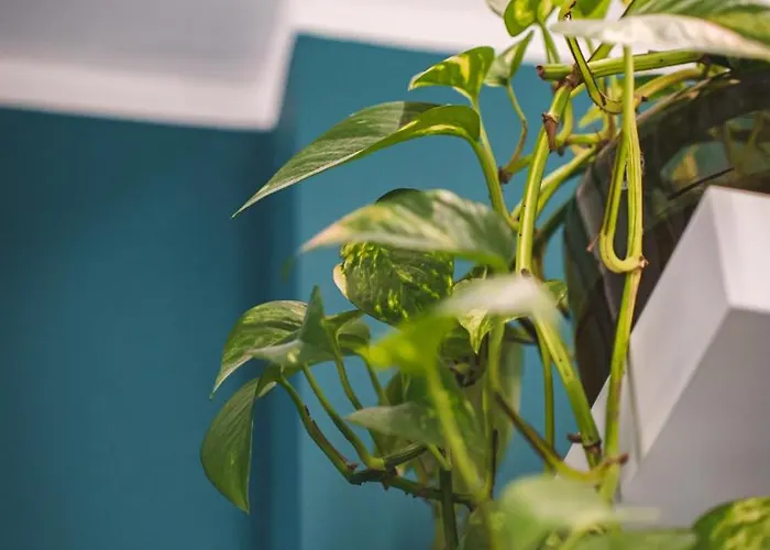 Wownavigli Apartment-sofa Bed Metro M4 Tram 2 *