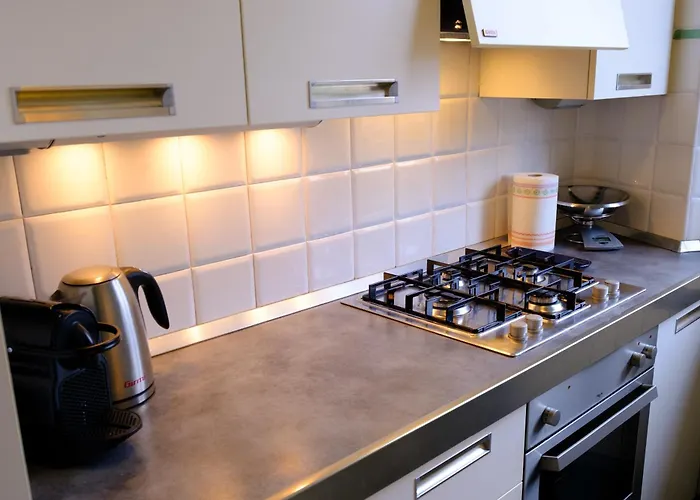 Maestros Vintage 公寓 *