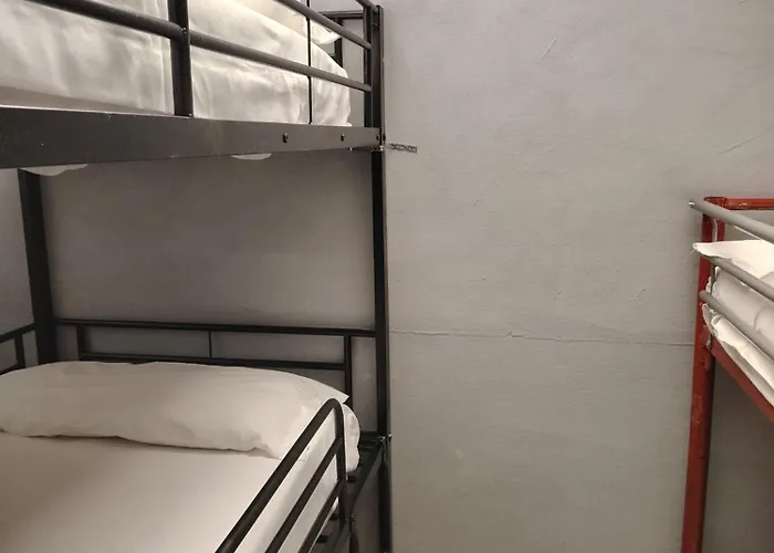 Gæstehus Lion University&youth 2