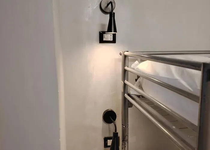 Lion University&youth 2