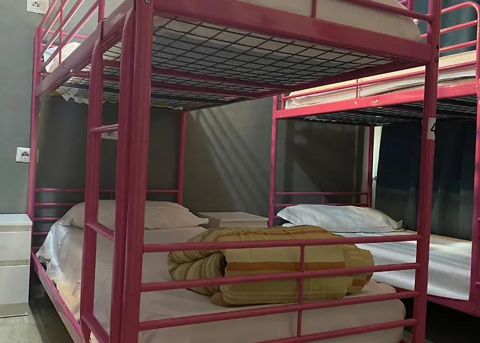 Lion University&youth 2 *