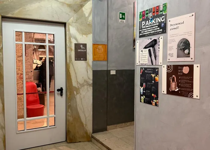 Lion University&youth 2