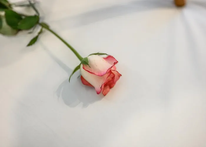 Prestige Brera, Duomo - Grand Living Apartment Milan