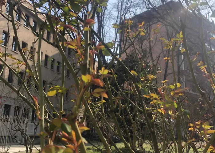 Apartmán Missori Rose Garden View *