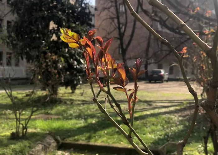 Missori Rose Garden View * Milán