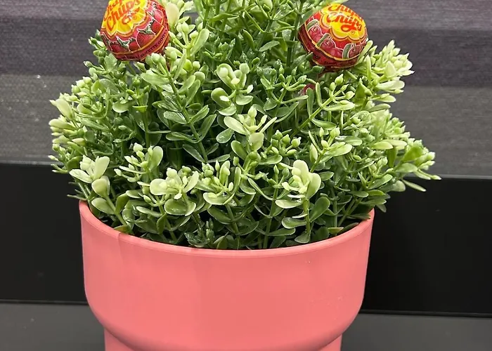 Tree House - Stylish Loft In The Heart Of * 밀라노