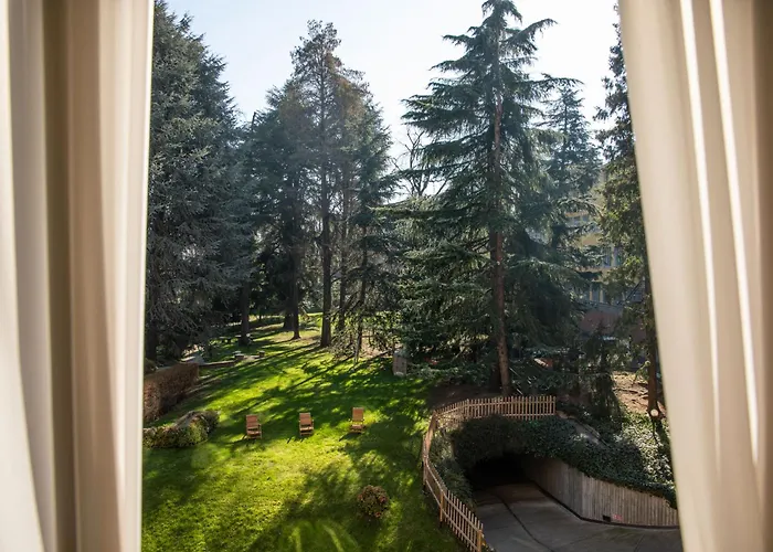 Tiziano - Gruppo Mini 4*