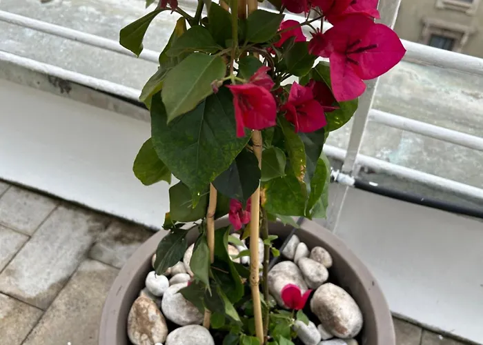 All'arco Exclusive With Terrace ميلان