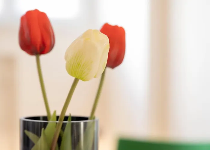 Casa In Palazzo Liberty - E Ben Collegato * Milano