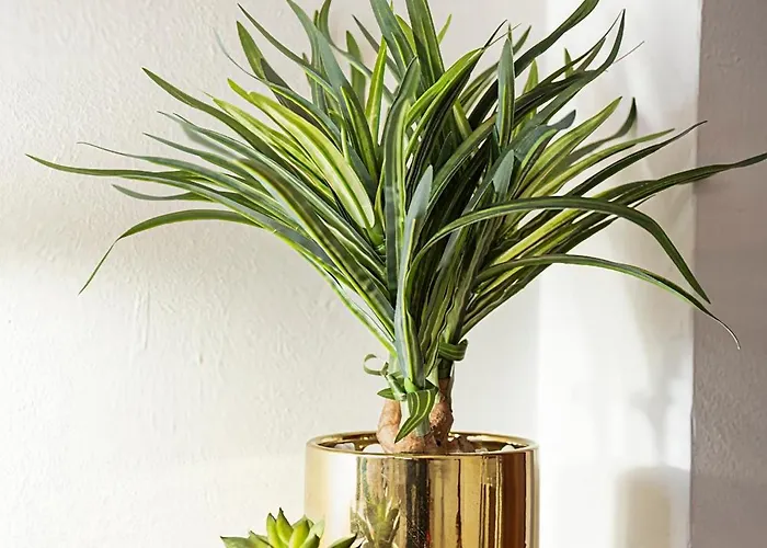 Casa In Palazzo Liberty - E Ben Collegato Daire