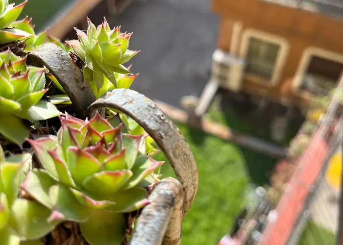 Navigli Mario Porta Genova Apartman