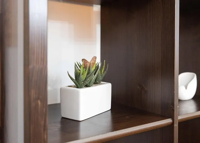 Lägenhet Elegant - Loreto -