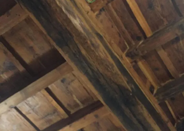 Apartment Cozy In A Secret Corner Of