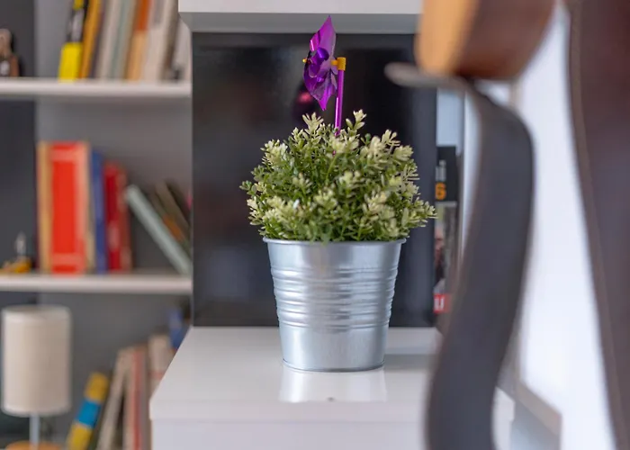 T22 Nest - Porta Romana *