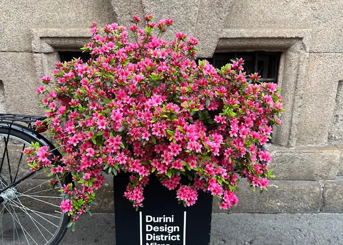 Design District Luxury Appartamento *