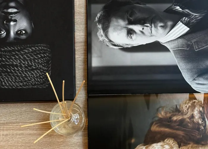 Urban Design Loft Ceroni 5 Daire *