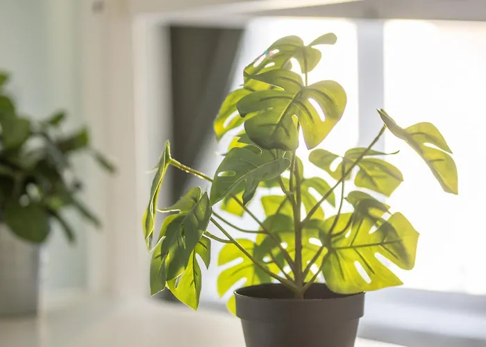 Daire Il Perfetto - Comfort E Stile Milano