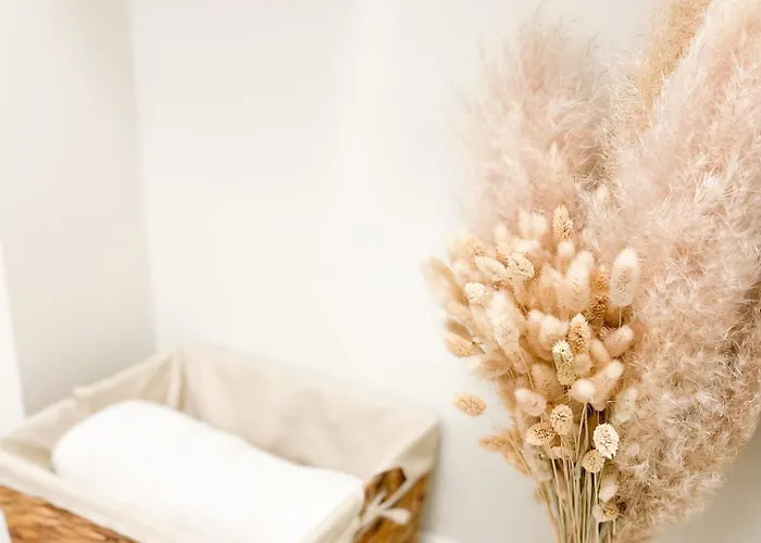 New Quiet And Design In The Heart Of