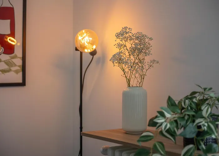 Appartamento Nolo 5 -