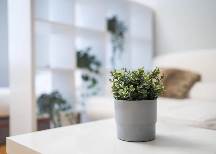 Bramante Luxury By Innstay Milano