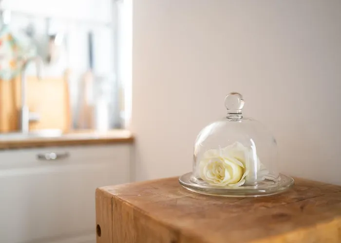 アパート Station 3 Design Apartaments-2 Apts With Parking -1 With Balcony, No Box- Olympic Hub- Town Homes *