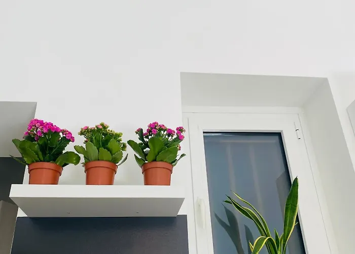 Apartmán Elegant