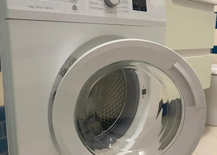 Lady Indigo 2 San Siro *