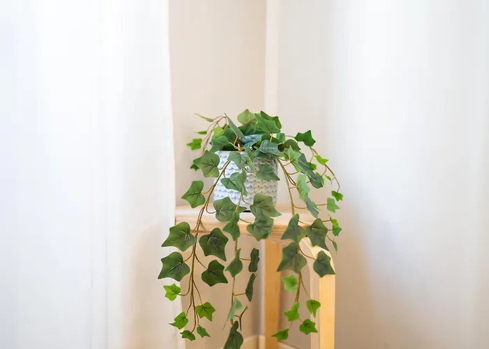 Carlotta - Repubblica Center By Innstay