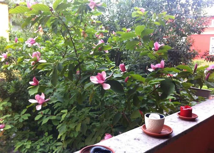 Navigli Downtown Cocco House Appartamento Milano