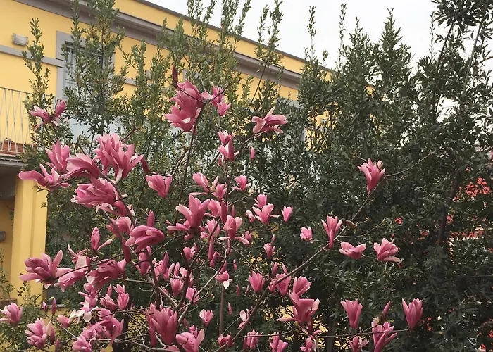 Navigli Downtown Cocco House Appartamento