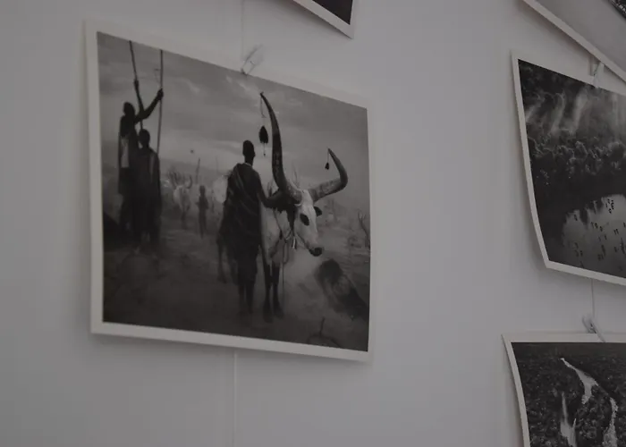 North - Beautiful Flat With Terrace شقة *