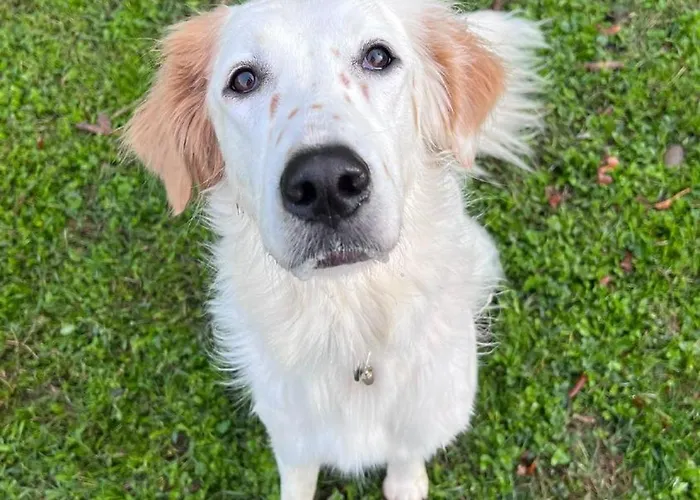 Private Talika - Shared With The Host 米兰