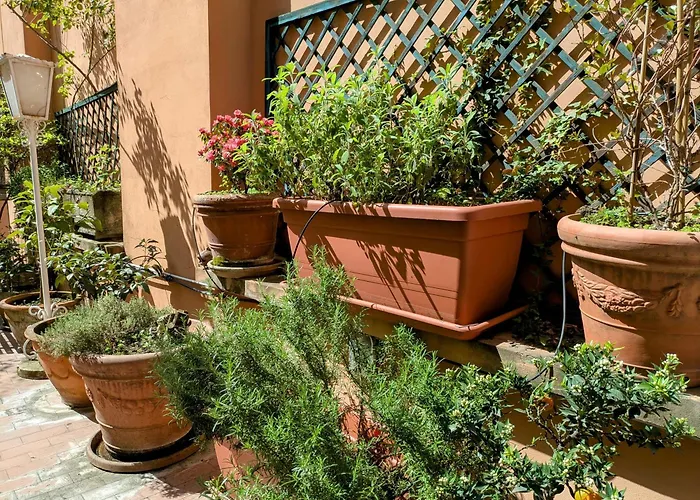 Alma Vacation In The Centre, Big Terrace