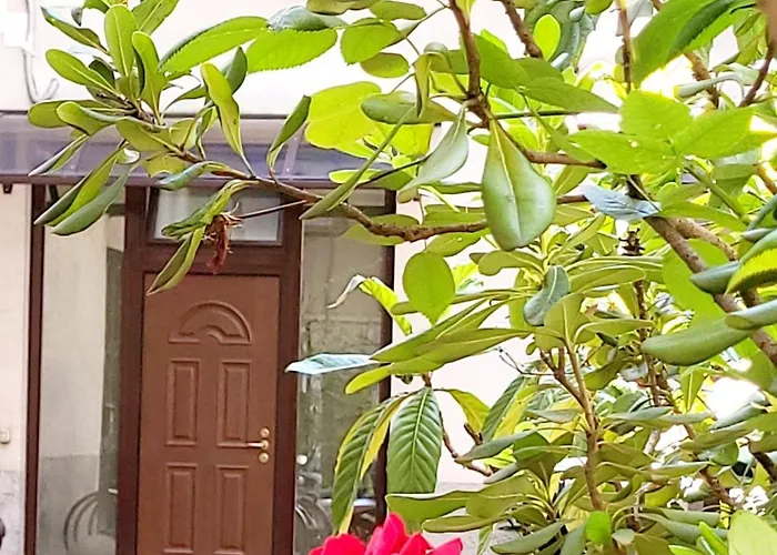 Bellavita Loft 8 Min To Duomo