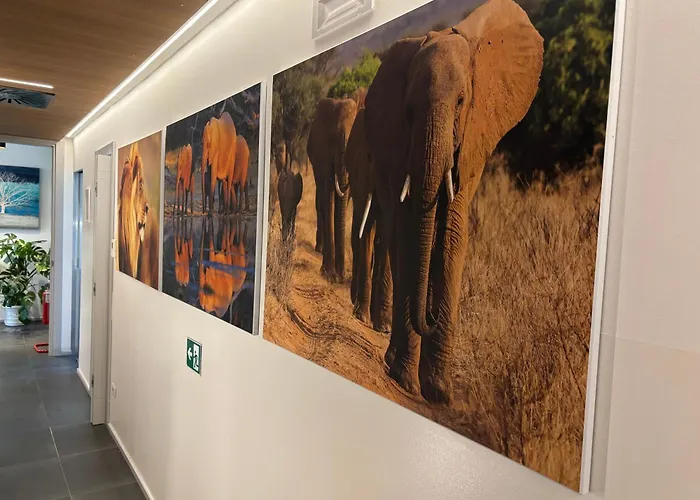 Enjoy Garden - Flavio Baracchini 9 - בית הארחה