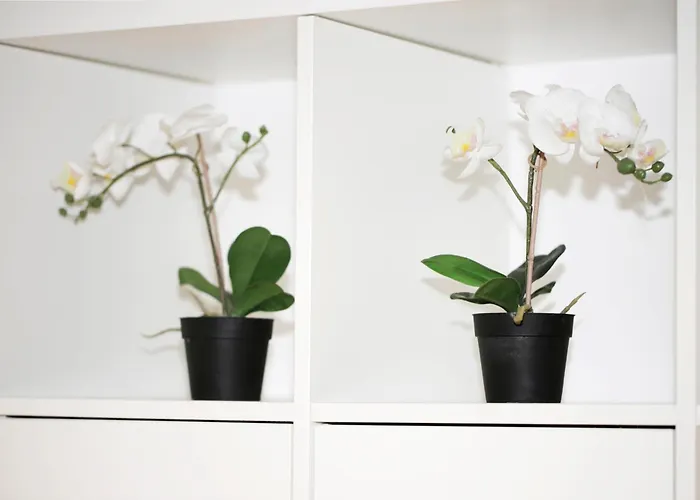 Bellavita Loft 8 Min To Duomo Apartment Milan