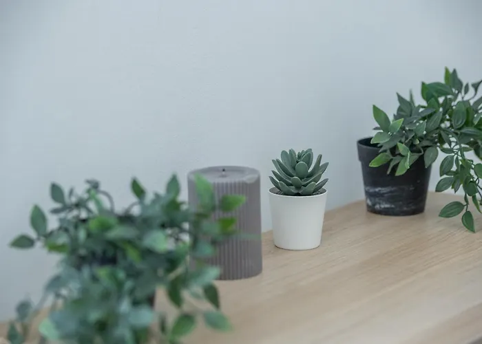 Via Santa Croce 1 - Leia Hospitality Apartmán Milán