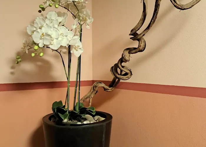 Апартаменты Navigli Ticinese *