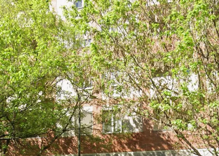 Washington Terrace 82